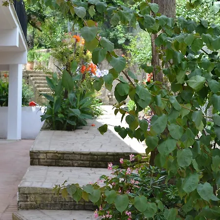 شقة فندقية Iliana